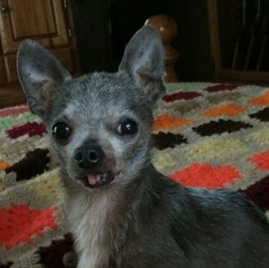 Meet your Posher, Brenda